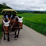 Ride to the chapel